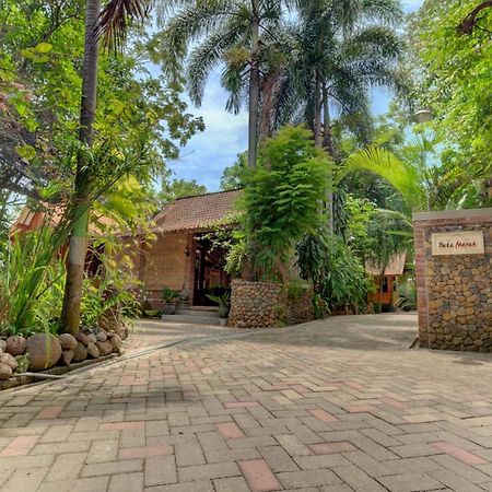 Bata Merah Homestay バニュワンギ エクステリア 写真