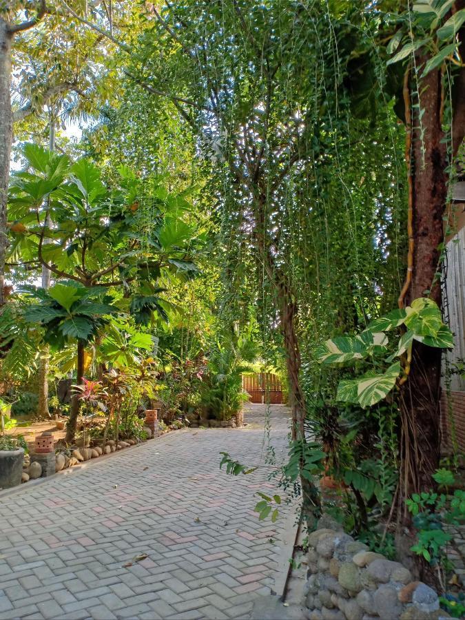 Bata Merah Homestay バニュワンギ エクステリア 写真