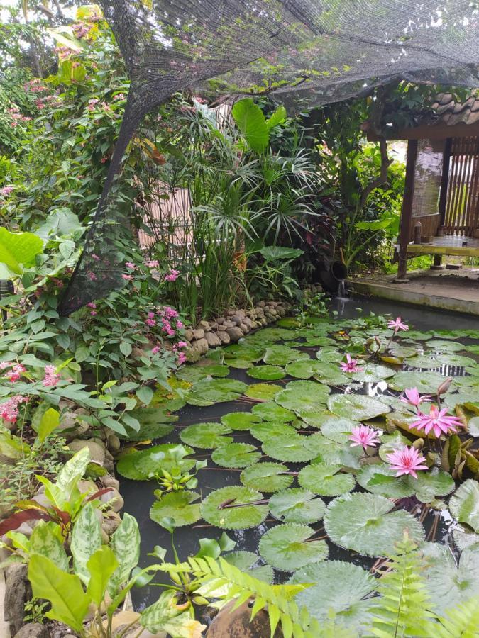 Bata Merah Homestay バニュワンギ エクステリア 写真