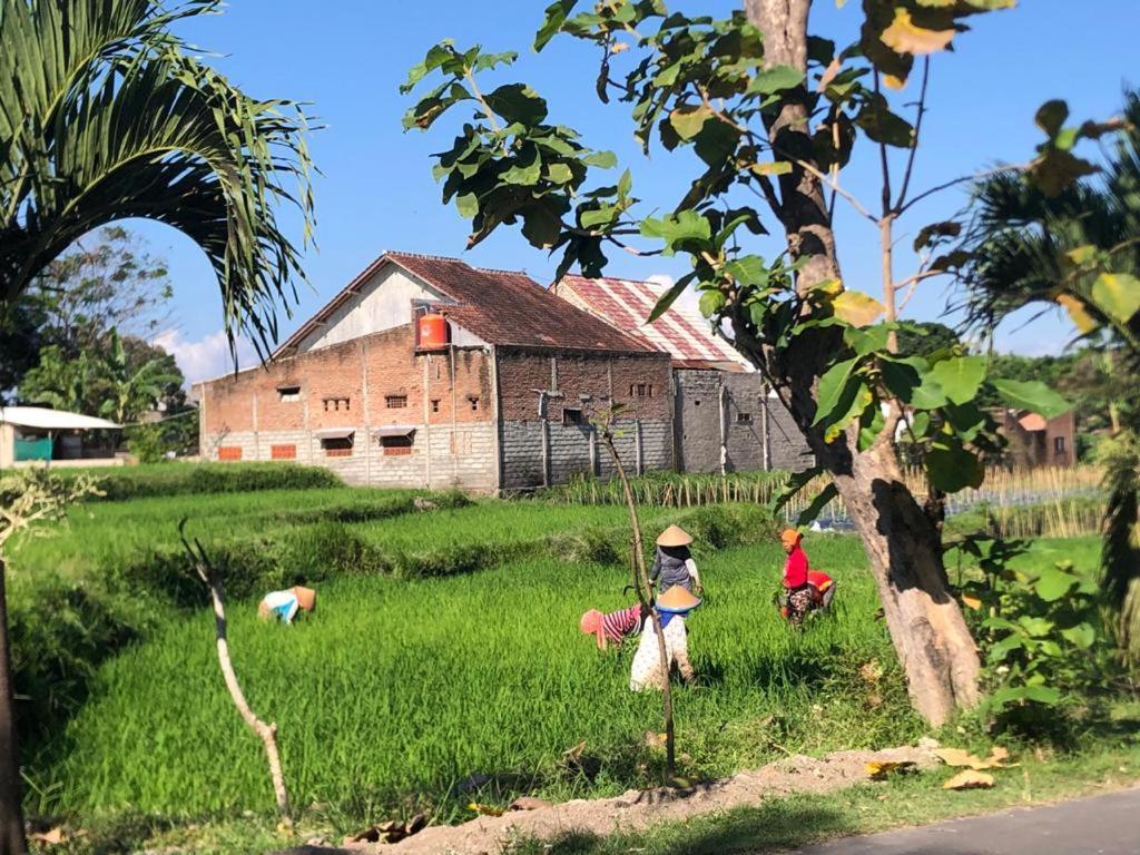 Bata Merah Homestay バニュワンギ エクステリア 写真